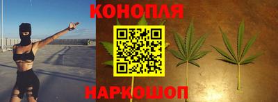 Альфа ПВП Ливны