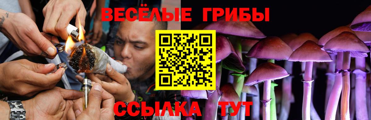 Сочи  Псилоцибиновые грибы GOLDEN TEACHER  Вход с VPN 