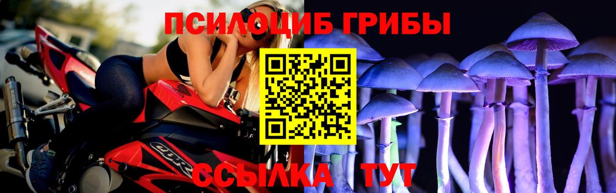 Галлюциногенные грибы Cubensis Сочи